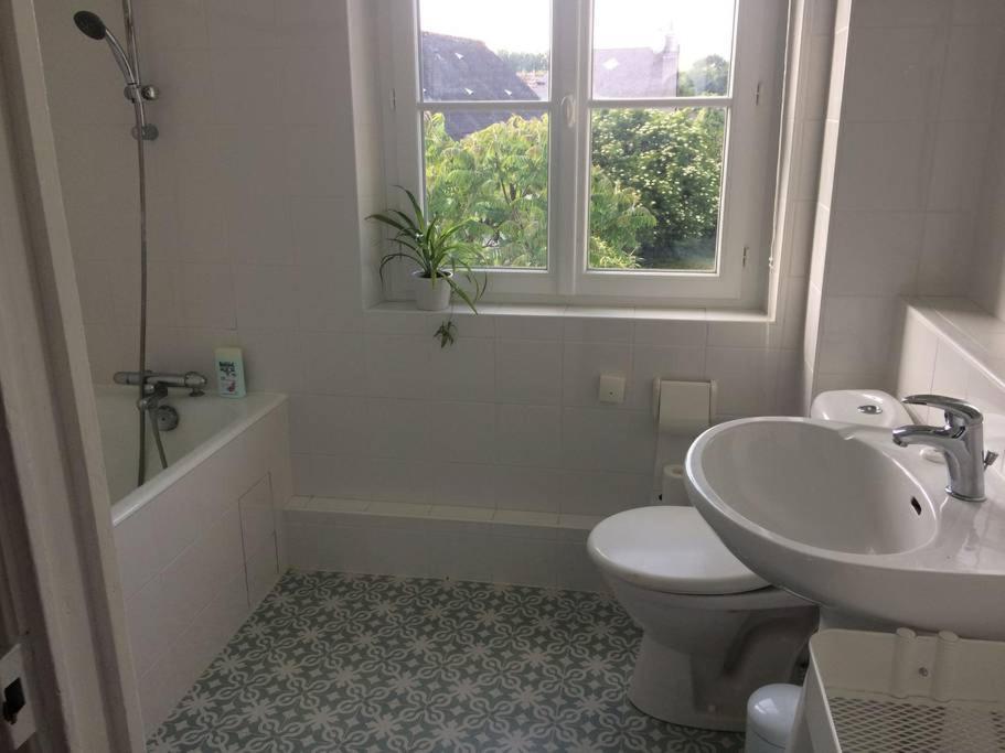 Grande Maison #6 Chambres #Proche Amboise/Tours Mosnes المظهر الخارجي الصورة