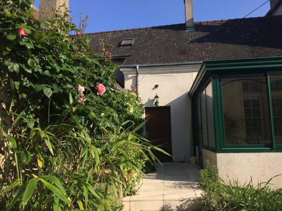 Grande Maison #6 Chambres #Proche Amboise/Tours Mosnes المظهر الخارجي الصورة